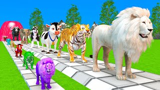 Paint Animals DuckTigerCowLionBearGorillaElephantDinosaur Fountain Crossing Animal Game Wo [upl. by Ailedua]