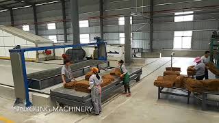 SINYOUNG rubber auto packing line [upl. by Hairym]