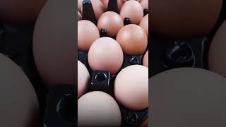 अंडे खाने के नुकसान EGG SIDE EFFECTS  Shuddhi  ACHARAY MANISH JI  AYURVEDA [upl. by Helbona]