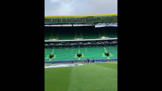 Estádio de Alvalade preparado para o SportingTottenham [upl. by Valerle]