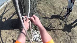 Arboriculture Climbing 101 [upl. by Iznik]