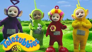 ★Teletubbies English Episodes★ Circus ★ Full Episode  NEW Season 16 HD S16E116 [upl. by Acinnor]