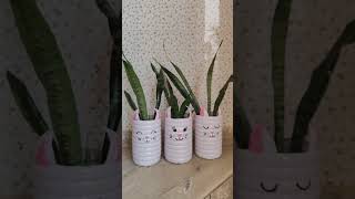 Recycle plastic bottles for indoor plants🥰 [upl. by Emyle327]