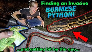 Finding INVASIVE Reptiles in Florida [upl. by Hakceber]