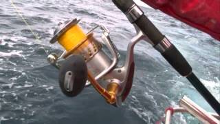 Giant southern bluefin tuna nearly spools Stella [upl. by Marigold]