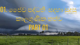 Weather and climate  part 01 BIO SYSTEMS TECHNOLOGY  AL  BST Sinhala [upl. by Skcirdnek]