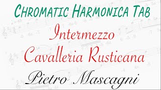 Intermezzo from Cavalleria Rusticana by Pietro Mascagni  Chromatic Harmonica Tab No 26 [upl. by Enamrahs]