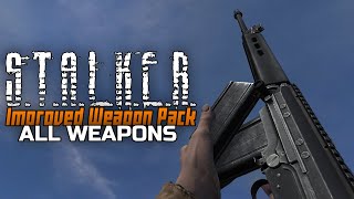 STALKER Improved Weapon Pack  All weapons reload animations [upl. by Moreno603]