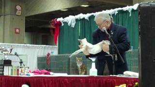 Le Noel des Chats CCA Cat Show Montreal QC 27 29 Nov 2009 [upl. by Helli]