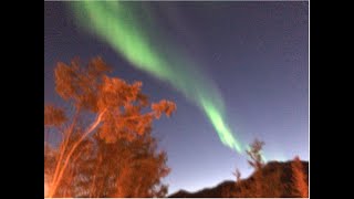 Northern Lights Fairbanks Alaska amp Denali National Park Alaska [upl. by Aslehc]