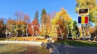 Beautiful Autumn In Sinaia Romania 🇹🇩  Dimitrie Ghica Park sinaia autumninsinai POVBarengHasan [upl. by Longley]