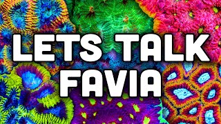 FAVIA Your New Favorite Coral Tips Tricks and TSA Favorites [upl. by Neill358]