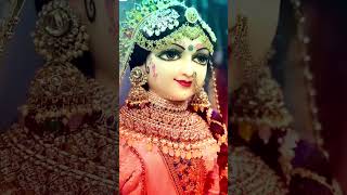 Shree radhe radhe varsaane bali radhe ✨reels song Bhaktivlog2118 [upl. by Berkie]