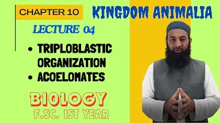 Triploblastic organization and Acoelomates I Chapter 10 I FSc I First Year I biology I Lec 4 [upl. by Ayotel]