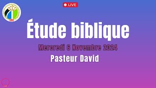 Bible Study  CRIC PSL  Pasteur David [upl. by Nednal]