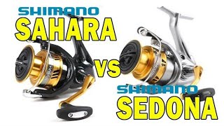 shimano sedona back to life [upl. by Pelligrini]