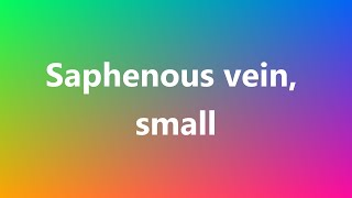 Saphenous vein small  Medical Meaning and Pronunciation [upl. by Collier]