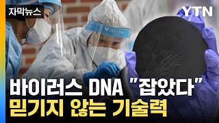 자막뉴스 국내 연구진의 놀라운 기술력 획기적으로 감염 밝혀내  YTN [upl. by Hsihsa]