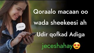 FARIIMO JACEYL OO QIIMO LEH GEERAAR JACEYL 2021 [upl. by Anayad]