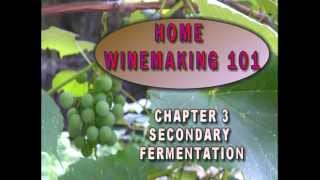 331 0003 Winemaking 101 Secondary Fermentation [upl. by Ennaylil]