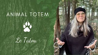 Animal TOTEM  Le Tatou  CHAMANE URBAINE [upl. by Lizabeth]