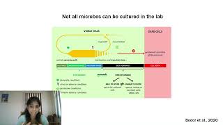 Class 6  Microbial identification methods [upl. by Hatty]