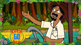 Lets Sing Along to the Rainforest Song  Music  Songs  Cartoons for Kids  LetsGoSee [upl. by Garnette]