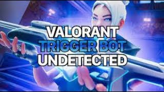 Valorant Triggerbot  Obamacheese [upl. by Nylatsirhc]