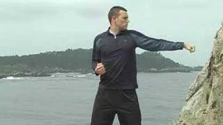 8 qigong pt3 [upl. by Cadmar]