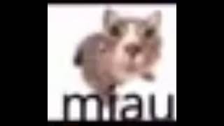 Miau meme [upl. by Maude]