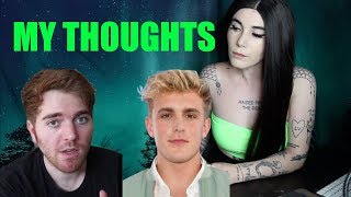 Shanes series on Jake Paul  MY TAKE ON IT [upl. by Ferullo]