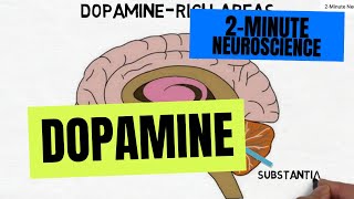 2Minute Neuroscience Dopamine [upl. by Topping621]