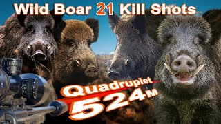 Wild Boar Hunting Shots Compilation  Compilation de tir au Sanglier 2022 [upl. by Nirhtak717]