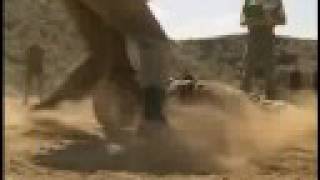 French Foreign Legion  Clip 2REP  Le 2 REP en action [upl. by Aicilyt681]