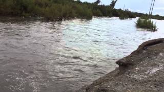 Rillito River running after monsoon storm [upl. by Prevot]