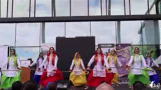 pfda Girls bhangra Edmonton  India festival Namaste India Festival 2019 [upl. by Binette]