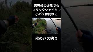 【秋のバス釣り】雨上がりの悪天候でも小バスは釣れる [upl. by Eenahs666]