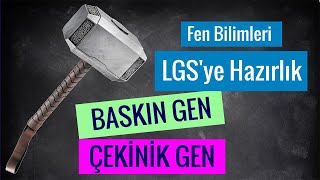 Kalıtımla İlgili Temel Kavramlar  4 quotBaskınDominantGen vs ÇekinikResesifGenquot [upl. by Eastman760]