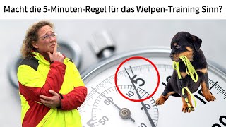 Welpen erziehen ✔️ ➡️ Macht die 5MinutenRegel für das Welpen Training Sinn [upl. by Caterina630]