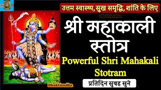 mahakali stotram श्री महाकाली स्तोत्र mahakali stotram with lyrics mahakali stotra mantraOm kali [upl. by Eliga651]