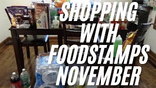 Food Stamp Shopping Haul for November  Grocery Food Stamp Haul November [upl. by Chic]