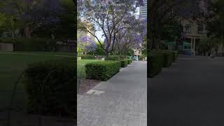 Uni Adelaide adelaide [upl. by Tybald]