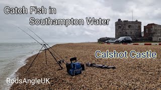 Catch Fish in Southampton Water CALSHOT CASTLE [upl. by Ardnikal]