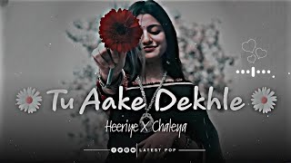 Tu Aake Dekhle X Heeriye X Chaleya Insta Mashup  revibe  Viral Insta Reels TikTok Remix [upl. by Nyledam]