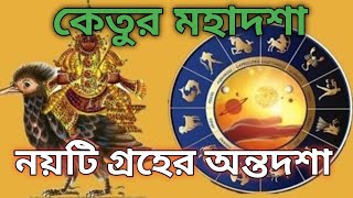 Ketu Mahadasha Effects  আপনার কি কেতুর মহাদশা চলছে Daibabaniviral astrology [upl. by Schellens]