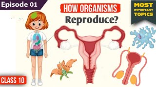 How Do Organisms Reproduce Class 10th  episode 01  Class 10 Science Chapter 8 [upl. by Moriarty]