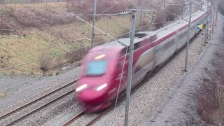 Two Thalys on LGV Nord [upl. by Maisie287]