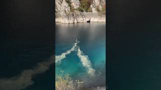 Cervi che nuotano nel lago di San Domenico goledelsagittario in abruzzo [upl. by Goerke]