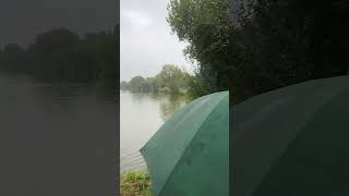 Barston fishing carp Lakes carp fishing [upl. by Sax702]