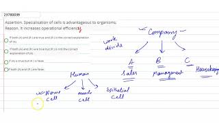 Assertion Specialisation of cells is advantageous to organisms [upl. by Oemor]